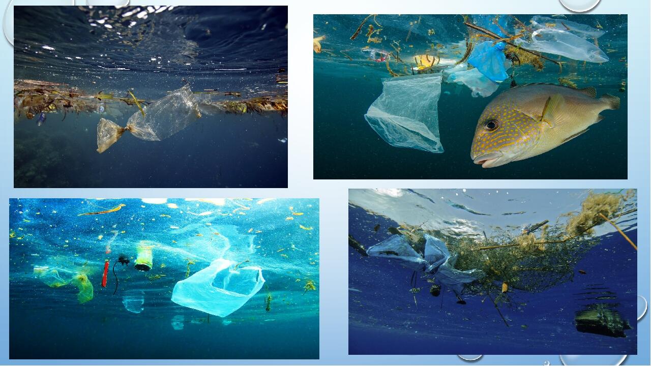 Урок узагальнення знань презентація "Океани"