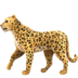 020016uu-f777.png