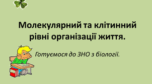 Молекулярний та клітинний рівні організації життя. Презентація. Підготовка до НМТ.