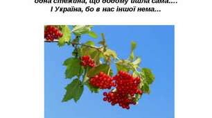 Сценарій свята для старшої групи.  "Одна родина,як калина"