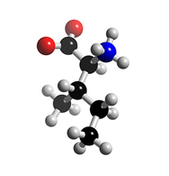 020018wp-518a.png