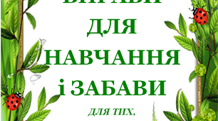 Презентація 2 «ЛІТНІ ВПРАВИ ДЛЯ НАВЧАННЯ І ЗАБАВИ. 4 червня»