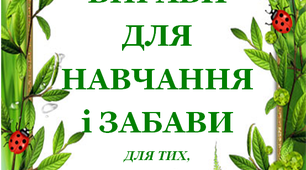 Презентація 3 «ЛІТНІ ВПРАВИ ДЛЯ НАВЧАННЯ І ЗАБАВИ. 4 червня»
