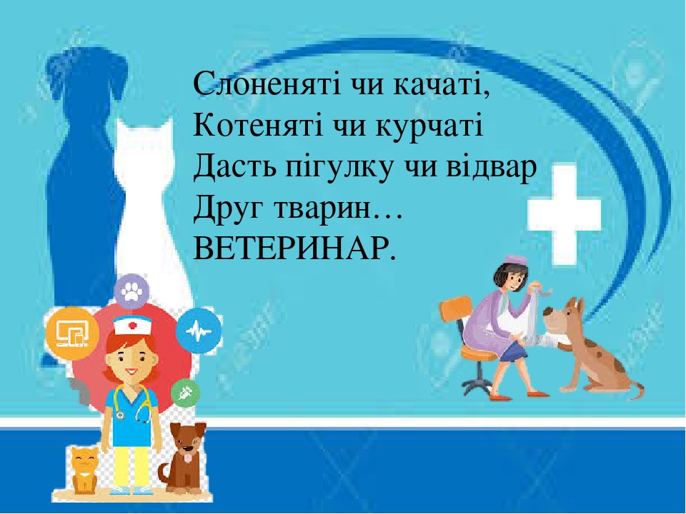 Где найти ветеринара в day r