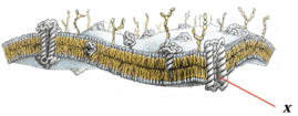 02001blv-0d7d-269x105.png