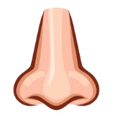 02001c6i-9230-166x176.png