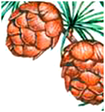 02001gq0-2811-226x242.png