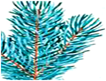02001gs3-f393-230x176.png