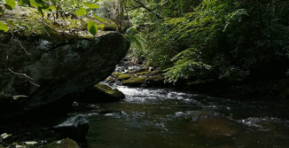 02001gsc-a2e3-326x167.gif
