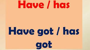 Have/has got