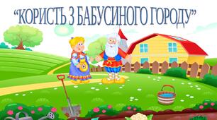 Дидактична гра "Користь з бабусиного городу"