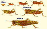 02001j0n-7cc6.jpg