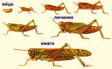 02001j0z-b30f-280x174.jpg