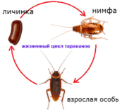 02001j29-7580.png