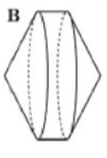 02001jmj-0f69.png