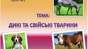 Дикі та свійські тварини
