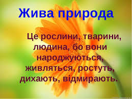 02001kls-1b12-477x357.jpg