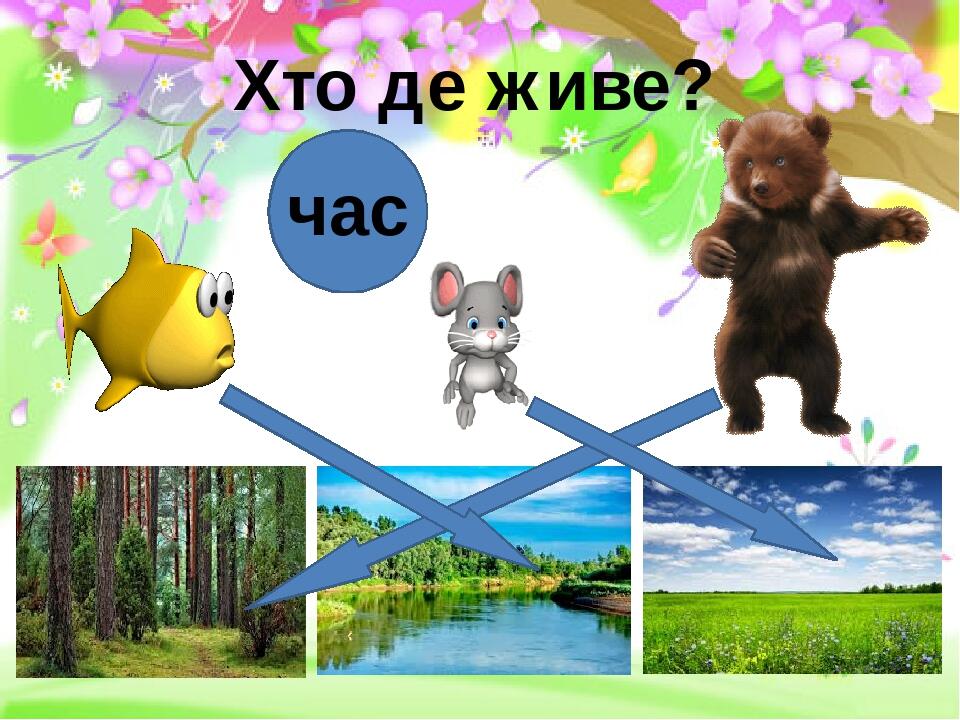 Хто де живе? час