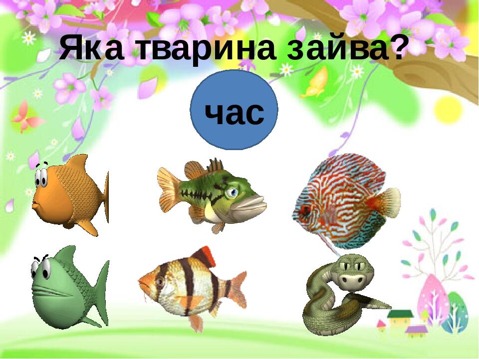 Яка тварина зайва? час