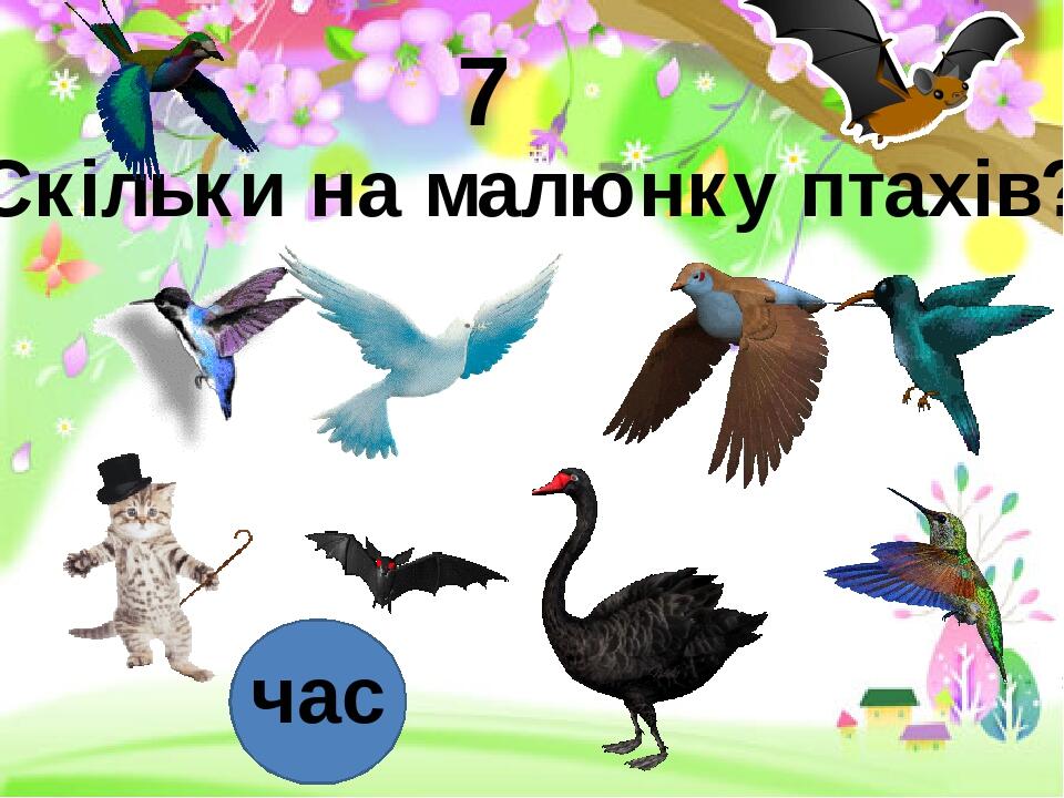 Скільки на малюнку птахів? час 7