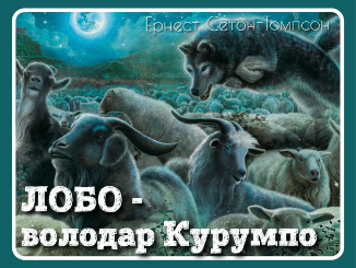 02001ljt-30e9-326x245.png