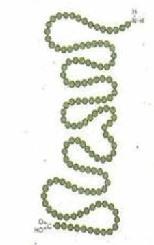 02001ngj-a153.png