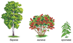 02001nps-a920-293x174.png