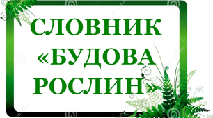 "Словник "Будова рослин. Стебло"