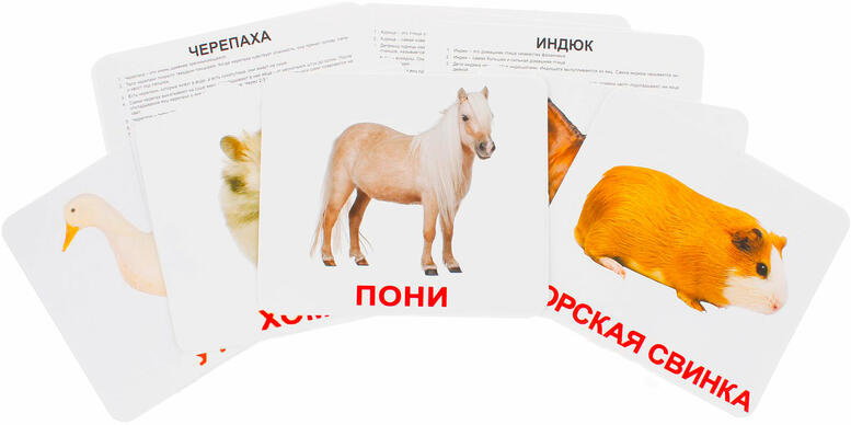 02001q9y-e625-777x388.jpg