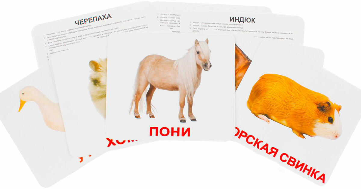 Карточки Домана Домашние животные по системе Домана. Учим домашних ...