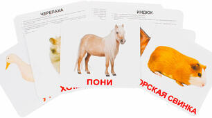 Карточки Домана Домашние животные по системе Домана. Учим домашних животных по методике Глена Домана