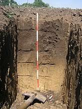 02001rlh-8c08-242x323.jpg