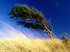 02001sf0-3c8d-225x169.jpg