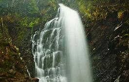 02001sf4-a61a-265x169.jpg