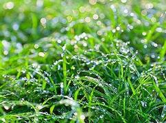 02001sm0-8168-242x180.jpg
