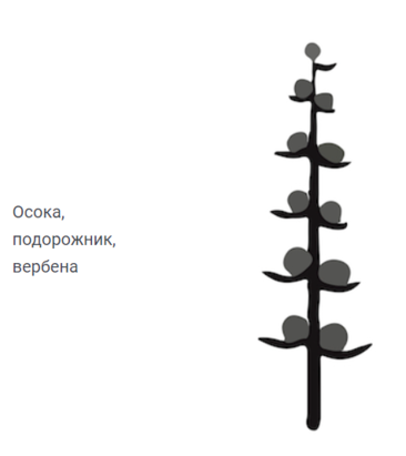 02001t6j-6fee-366x411.png