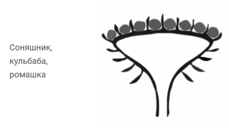 02001t6s-3546-466x262.png