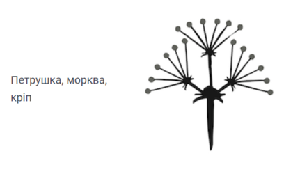 02001t70-03ac-408x250.png