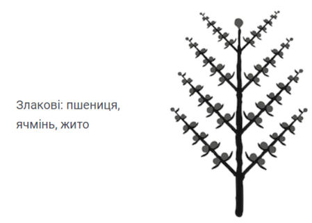02001t75-d447-449x322.png