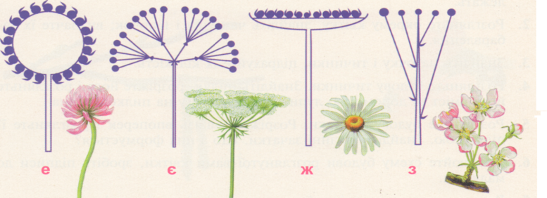 02001t7h-76f1-777x282.png