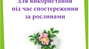 Літературний матеріал  для використання  під час спостереження  за рослинами