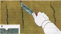 Описание: http://player.myshared.ru/238784/data/images/img9.jpg