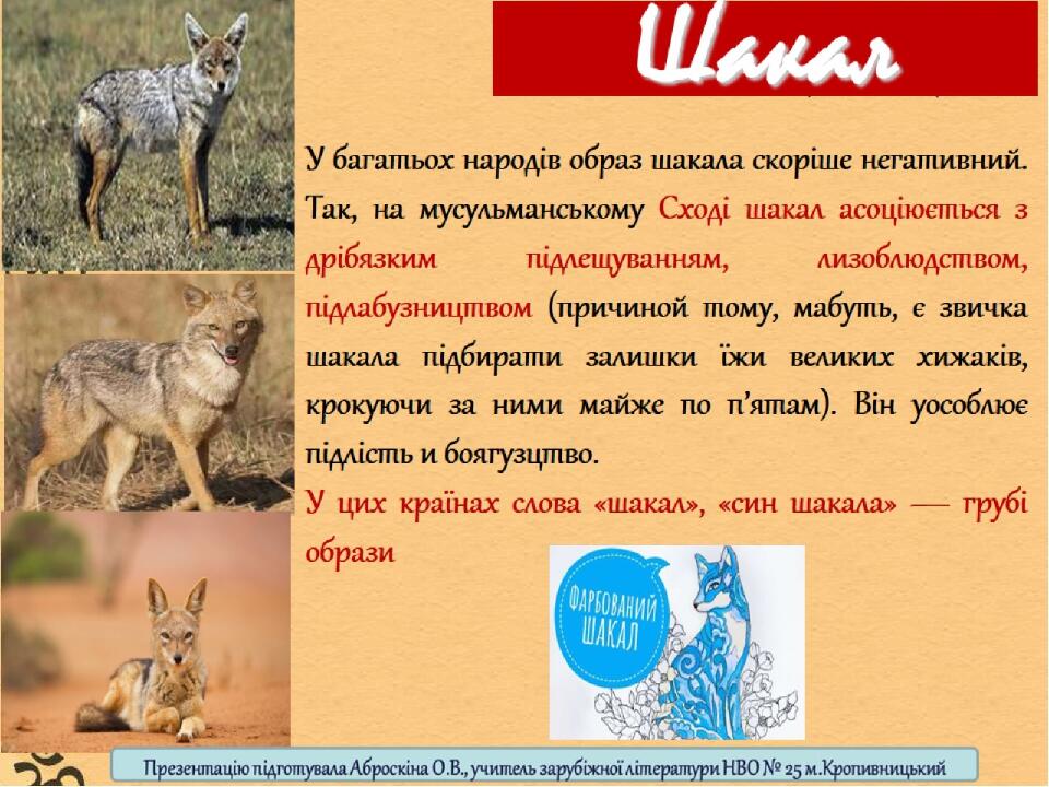 Шакал