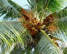 02001xg7-00d8-220x178.jpg