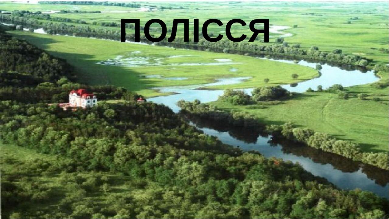 ПОЛІССЯ