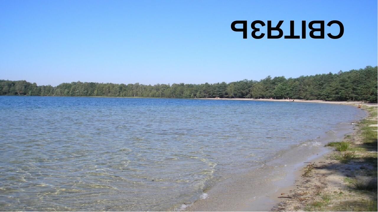 СВІТЯЗЬ