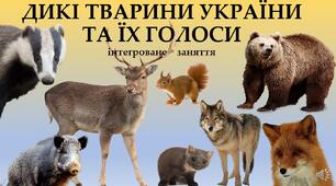 Презентація "Дикі тварини України та їх голоси"