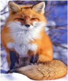 02001z2y-7bd8-142x168.png