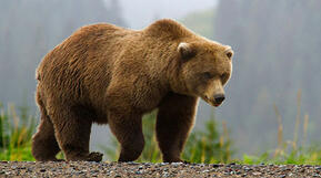 02001z37-9d87-289x161.jpg