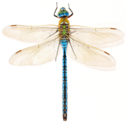 02001z3e-2188-182x177.png